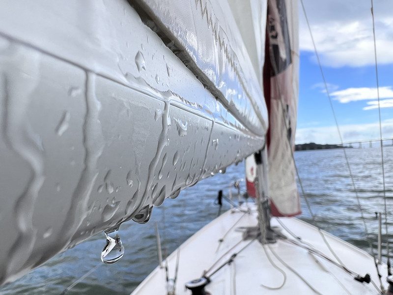 逸動(dòng)杯 逸動(dòng)杯